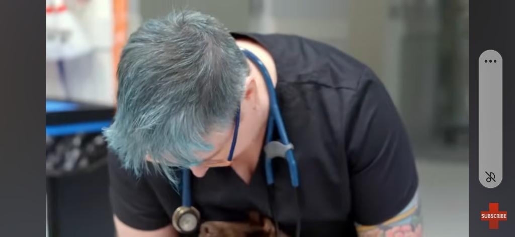 Dr Mara Hickey examining a koala patient in clinic