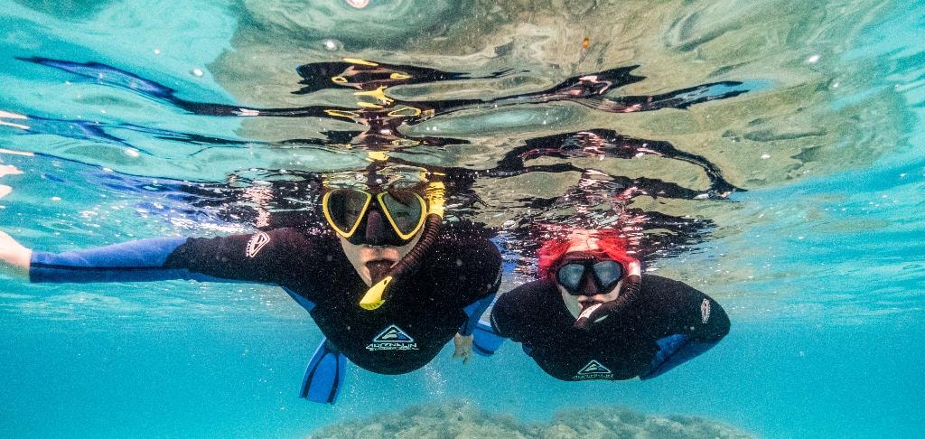 Dr Mara Hickey snorkelling underwater in a wetsuit